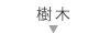 樹木