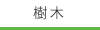 樹木