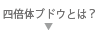 四倍体ブドウとは？