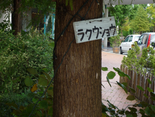 ラクウショウ