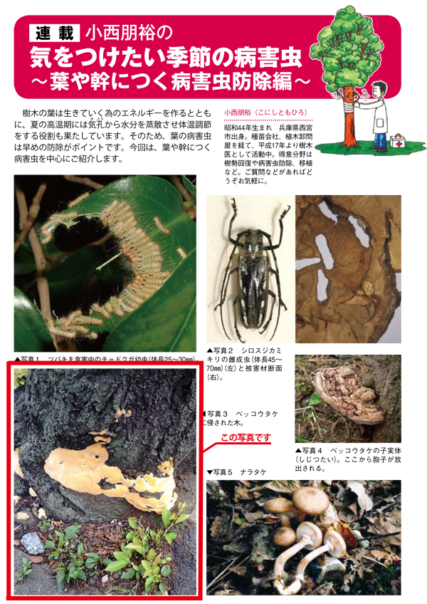 園芸誌