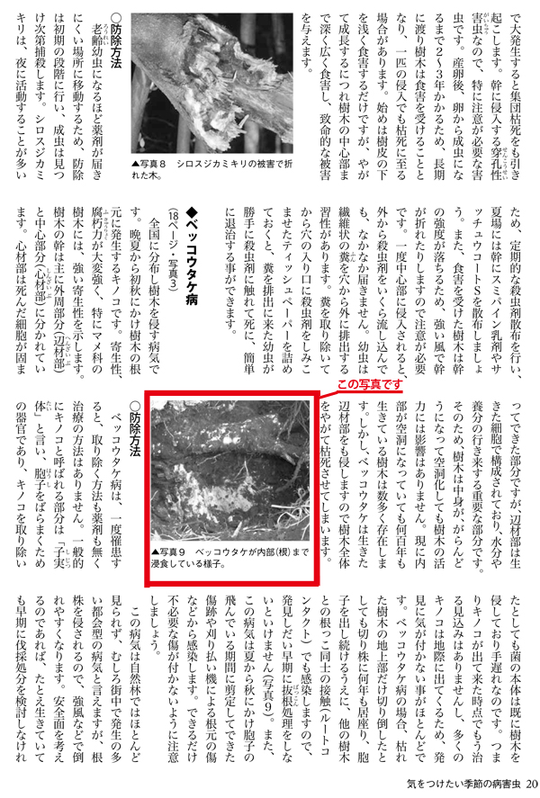 園芸誌