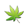 樹木診断
