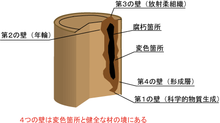 CODIT