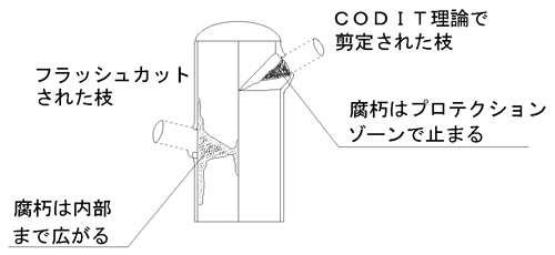 剪定方法