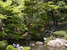 安国寺