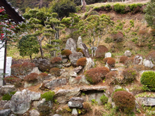 安養寺
