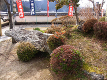 安養寺