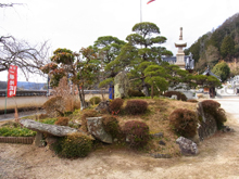安養寺