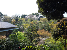 椿山荘
