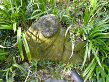 椿山荘