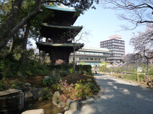 椿山荘