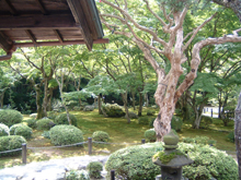 圓光寺