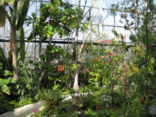 半田山植物園