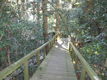 半田山植物園