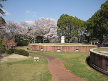 半田山植物園
