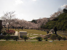 半田山植物園