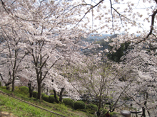 半田山植物園
