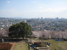 半田山植物園