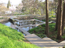 半田山植物園