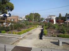 半田山植物園