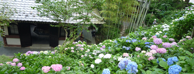 長谷寺