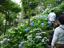 長谷寺