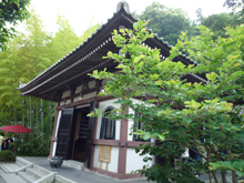 長谷寺