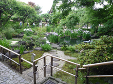 長谷寺