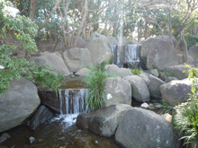 平成庭園