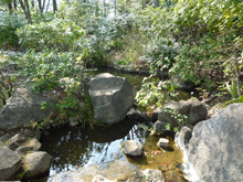 東渕江庭園