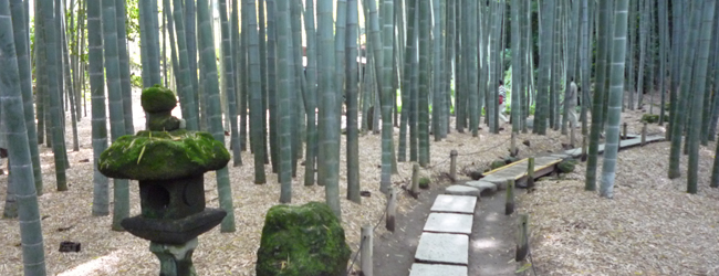 報国寺