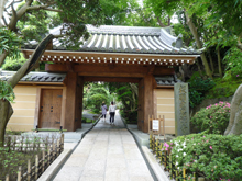 報国寺