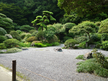 報国寺