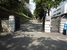 旧岩崎邸庭園
