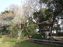 旧岩崎邸庭園