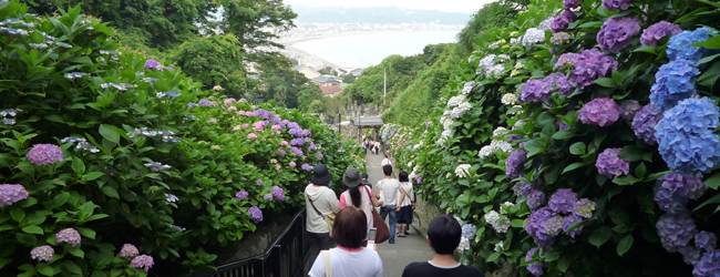 成就院