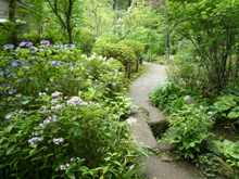 浄妙寺庭園