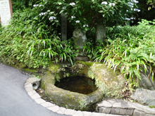 海蔵寺