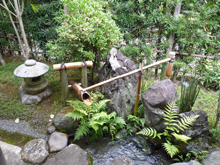谿風の庭