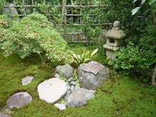 谿風の庭