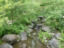 谿風の庭