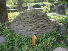 清澄庭園