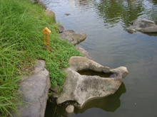 清澄庭園