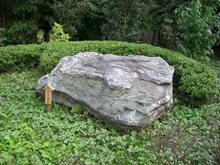 清澄庭園