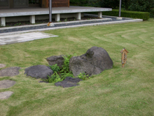 清澄庭園