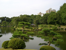 清澄庭園