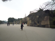 皇居二の丸庭園