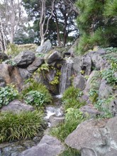 皇居二の丸庭園