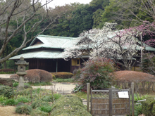 皇居二の丸庭園